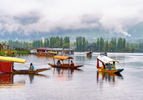 Kashmir Paradise Tour Package from Chennai