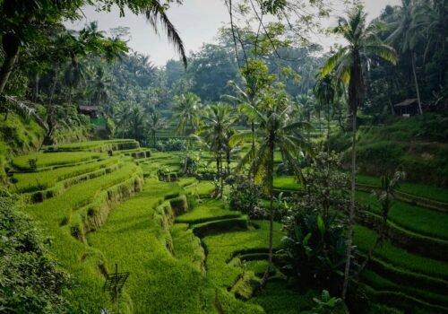 Bali Honeymoon Package from Chennai